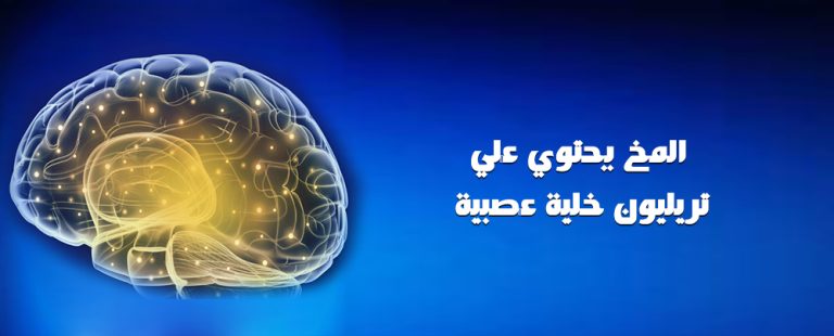 برنامج يوسي ماس